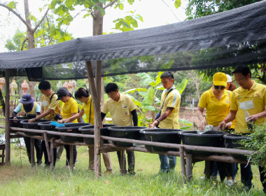 ศึกษาดูงานโครงการพัฒนาพื้นที่ต้นแบบการพัฒนาคุณภาพชีวิต ... พารามิเตอร์รูปภาพ 4