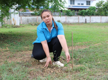 ร่วมกันทำกิจกรรมปลูกต้นไม้เฉลิมพระเกียรติสมเด็จพระนางเจ้าสุทิดาฯ และวันต้นไม้ประจำปีของชาติ ... พารามิเตอร์รูปภาพ 10