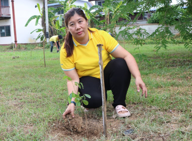 ร่วมกันทำกิจกรรมปลูกต้นไม้เฉลิมพระเกียรติสมเด็จพระนางเจ้าสุทิดาฯ และวันต้นไม้ประจำปีของชาติ ... พารามิเตอร์รูปภาพ 9