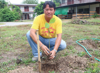 ร่วมกันทำกิจกรรมปลูกต้นไม้เฉลิมพระเกียรติสมเด็จพระนางเจ้าสุทิดาฯ และวันต้นไม้ประจำปีของชาติ ... พารามิเตอร์รูปภาพ 7