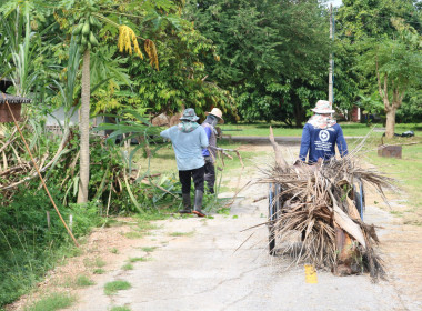 กิจกรรมวันรักต้นไม้ประจำปีของชาติ พ.ศ.2567 พารามิเตอร์รูปภาพ 10