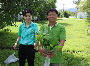 ศส.10ลำปาง ร่วมกันปลูกต้นไม้ ... พารามิเตอร์รูปภาพ 6
