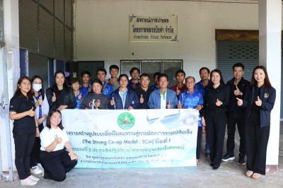 โครงการ The Strong Co-op Model: SCM สกก.โครงการหลวงปังค่า ... พารามิเตอร์รูปภาพ 1