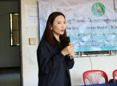 โครงการ The Strong Co-op Model: SCM สกก.โครงการหลวงปังค่า ... พารามิเตอร์รูปภาพ 2