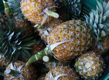 โครงการประชาสัมพันธ์เชิงรุกเพื่อสร้างเครือข่ายความร่วมมือในพื้นที่จังหวัด ... พารามิเตอร์รูปภาพ 12