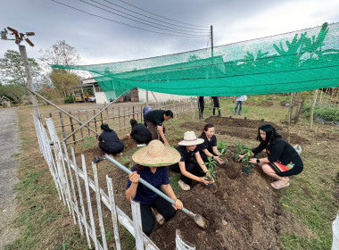 อัตลักษณ์ศูนย์ฯ ที่กินได้! ศส.10 จ.ลำปาง ... พารามิเตอร์รูปภาพ 5