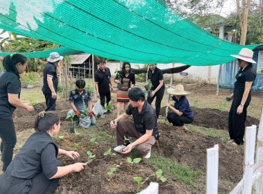 อัตลักษณ์ศูนย์ฯ ที่กินได้! ศส.10 จ.ลำปาง ... พารามิเตอร์รูปภาพ 4