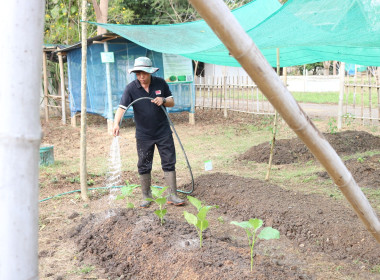 อัตลักษณ์ศูนย์ฯ ที่กินได้! ศส.10 จ.ลำปาง ... พารามิเตอร์รูปภาพ 8