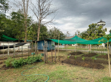 อัตลักษณ์ศูนย์ฯ ที่กินได้! ศส.10 จ.ลำปาง ... พารามิเตอร์รูปภาพ 9