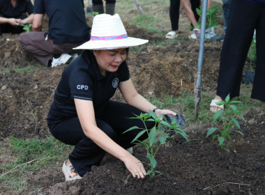 อัตลักษณ์ศูนย์ฯ ที่กินได้! ศส.10 จ.ลำปาง ... พารามิเตอร์รูปภาพ 1