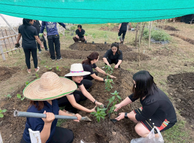 อัตลักษณ์ศูนย์ฯ ที่กินได้! ศส.10 จ.ลำปาง ... พารามิเตอร์รูปภาพ 3