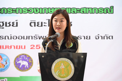 ดำเนินการถ่ายทอดสด กิจกรรม “รวมพลคนสหกรณ์ในจังหวัดเชียงราย” พารามิเตอร์รูปภาพ 1