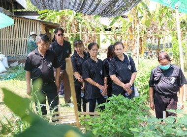 ศส.10 ลำปาง ... พารามิเตอร์รูปภาพ 12