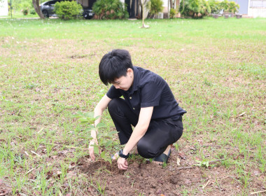 ผอ.ศูนย์ฯ 10 นำบุคลากรร่วมกันปลูกต้นไม้ ... พารามิเตอร์รูปภาพ 5