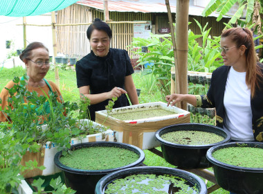 ขับเคลื่อนโครงการปรัชญาเศรษฐกิจพอเพียงกับการสหกรณ์ ... พารามิเตอร์รูปภาพ 7