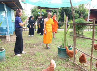 ศส.10 ลำปาง ... พารามิเตอร์รูปภาพ 5